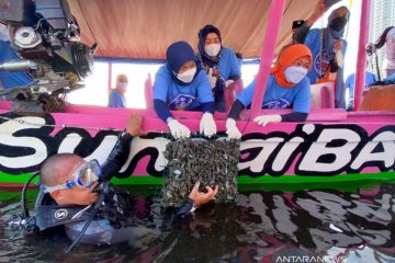 KKP restorasi kerang hijau di Teluk Jakarta untuk jernihkan laut