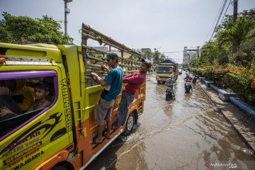 Banjir rob di Jakarta