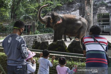 Jakarta kemarin, PPKM Mikro diperpanjang hingga Hari Lahir Pancasila