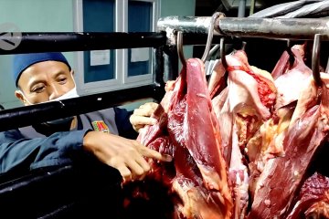 Dinas Pertanian Kota Semarang awasi daging tak layak konsumsi