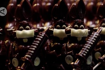 Melawan pandemi dengan suntikan 'vaksin' cokelat Belgia