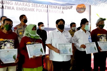 Kawasan Gunung Maras di Pulau Bangka menjadi Taman Nasional  