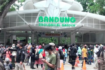 Kebun Binatang Bandung padat, 2 pengunjung positif COVID-19