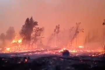 KLHK  siapkan langkah pengendalian Karhutla