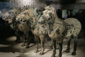 Kereta kuda perunggu berusia 2.200 tahun dipamerkan di museum baru di China