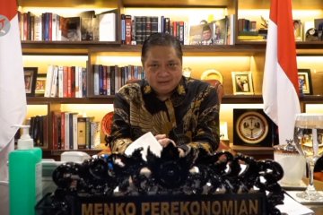 Menko Perekonomian optimistis pertanian dukung pemulihan ekonomi