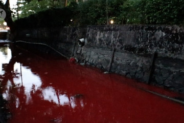 Pontianak gempar air di parit berubah warna merah