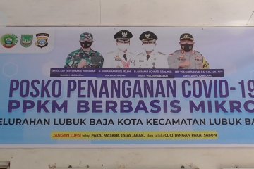 Varian COVID-19 B117 terdeteksi, Batam kembali perkuat PPKM mikro