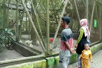 Seluruh objek wisata di Jambi ditutup selama libur Lebaran