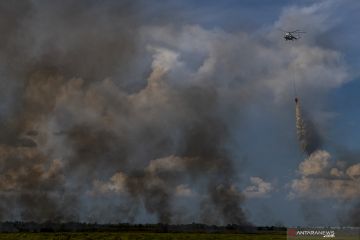 Lahan Di  Ogan Ilir Kembali Terbakar