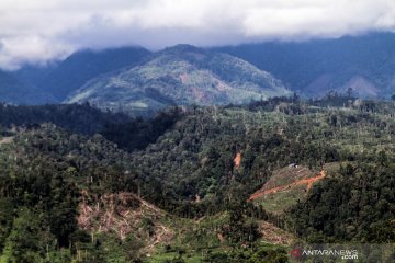 Sidang korupsi reboisasi lahan Kapuas Hulu terdakwa mengaku bersalah