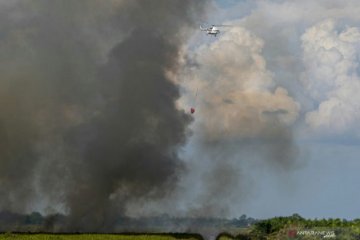 Tiga kabupaten di Sumsel terpantau mulai alami karhutla