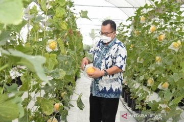 IPB University dorong mahasiswanya jadi petani milenial