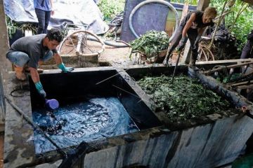 Produksi pewarna kain alami