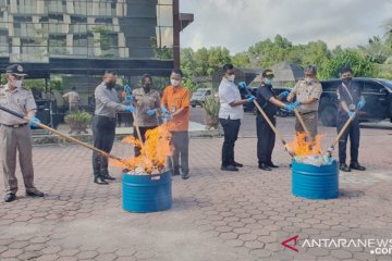 Karantina Pertanian Balikpapan musnahkan benih impor tak berdokumen