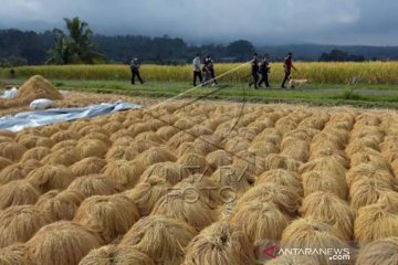 Jumlah Kunjungan Wisman Ke Indonesia Merosot