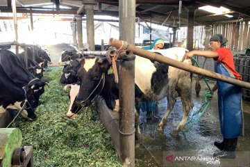 Penyaluran KUR BRI Kanwil Malang capai Rp8,8 triliun