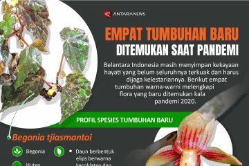 Empat tumbuhan baru ditemukan saat pandemi