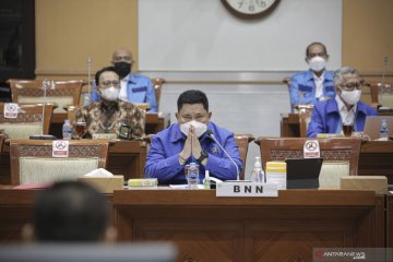 Rapat dengar pendapat Komisi III dengan BNN