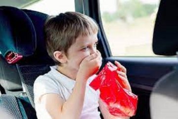 IDAI bagikan kiat agar anak tetap sehat selama perjalanan mudik