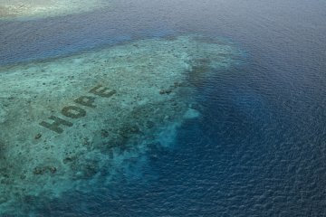 Hope Reef libatkan masyarakat restorasi terumbu karang lewat film