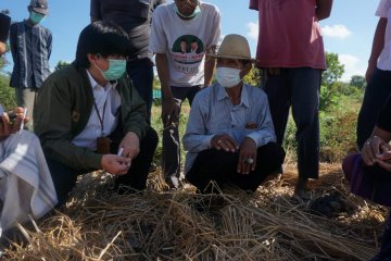 KSP tindaklanjuti aduan petani tembakau di Lombok Timur