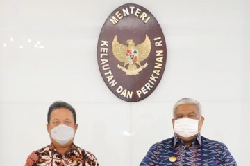 KKP siap kembangkan potensi lahan budi daya udang di Sultra