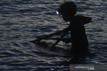 Nelayan Udang Kecil di Palu