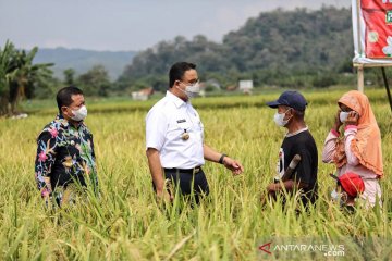 Anies "berburu" beras hingga ke Sumedang Jawa Barat