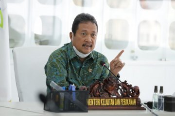 Menteri Trenggono: Pastikan ekosistem dan pesisir Teluk Tomini sehat