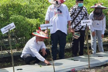 Pemprov Kaltim serahkan bantuan senilai Rp1,3 M untuk pertanian Kutai Barat
