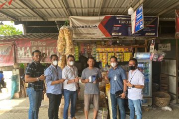 Lindungi UMKM, BRINS gandeng Agen BRILink di seluruh Indonesia