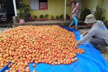 Dinas Pangan Kota Solok prioritaskan mutu dan keamanan pangan