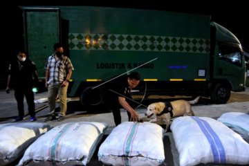 Penyelundupan ganja ke Bali