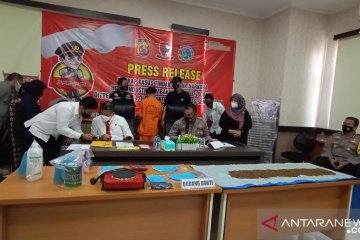 Polda Banten ungkap "home industri" tembakau gorila