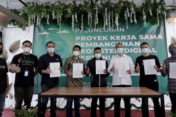 BRI Agro berkolaborasi bangun ekosistem digital pertanian