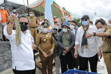 Menteri KP dorong Lampung kembangkan tambak udang modern