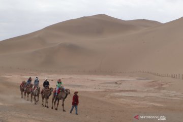 Harmoni senandung bukit pasir Mingsha