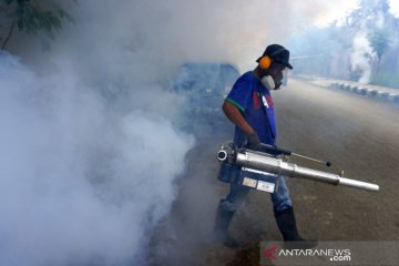 Pencegahan DBD di perubahan musim