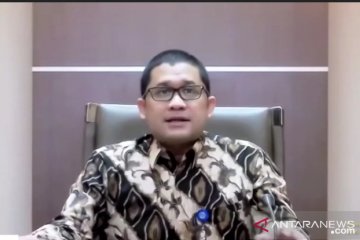 BKF: APBN instrumen penting transpormasi ekonomi yang ramah lingkungan