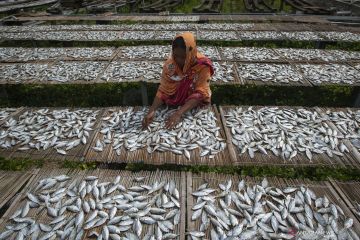 Kepulauan Seribu cegah nelayan menganggur saat angin barat