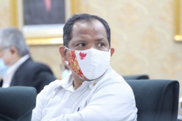 Anggota DPR dorong Kementan perkuat pengembangan pangan lokal