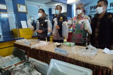 Tim gabungan gagalkan penyelundupan benur Rp33,8 miliar di Palembang