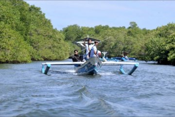 Edukasi dan ekowisata hutan bakau Kedonganan