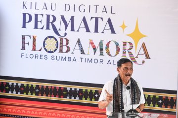 Menko Luhut minta percepat tambah BTS, pacu digitalisasi 30 juta UMKM