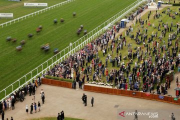 Pacuan Kuda Royal Ascot di Inggris