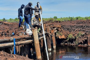 Upaya Jambi cegah bencana Karhutla