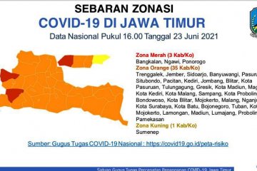 Satgas Jatim: Ponorogo, Ngawi, Bangkalan berstatus zona merah COVID-19