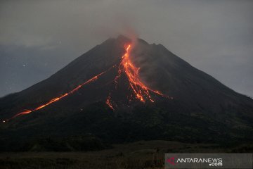 Gunung Merapi meluncurkan guguran lava pijar sejauh 1,5 km