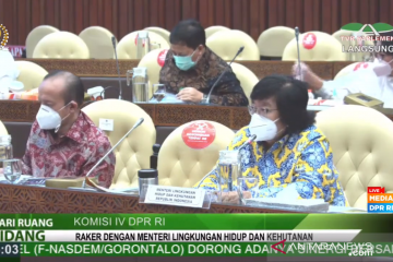 Komisi IV DPR dukung program KLHK tangani limbah medis COVID-19